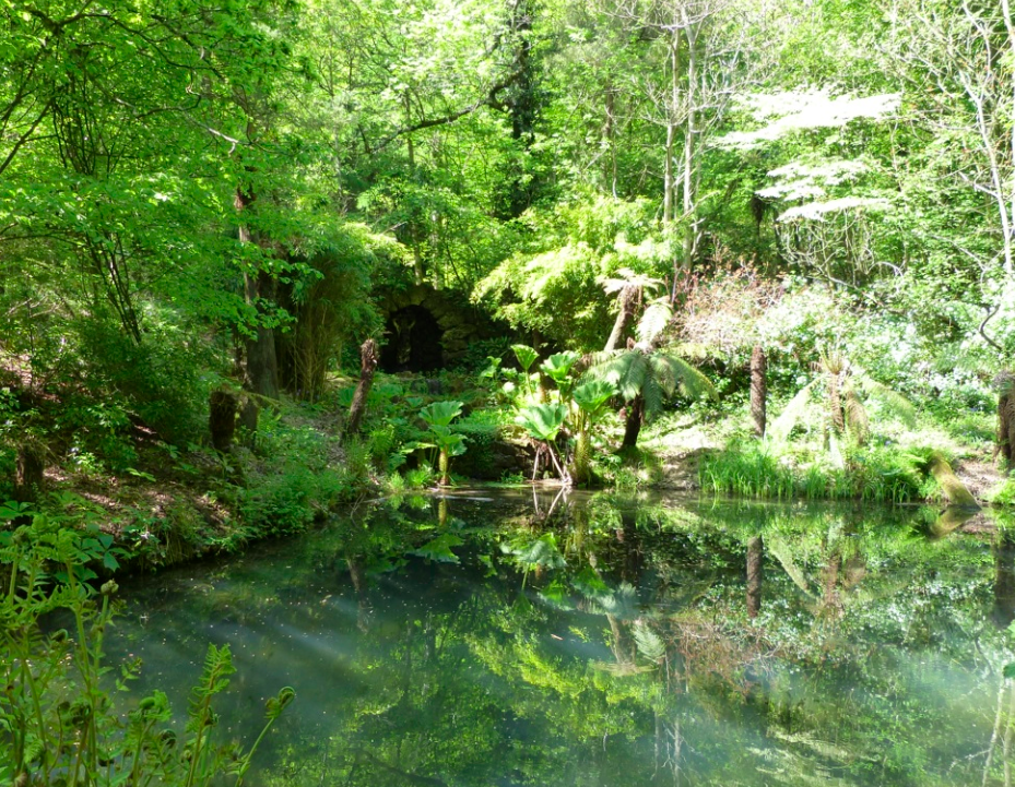 Groombridge Place - Enchated Forest