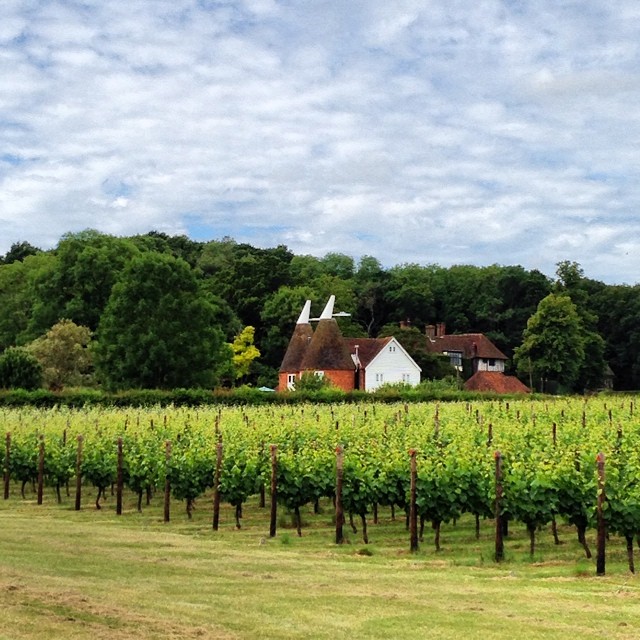 Hush Heath Winery in Kent